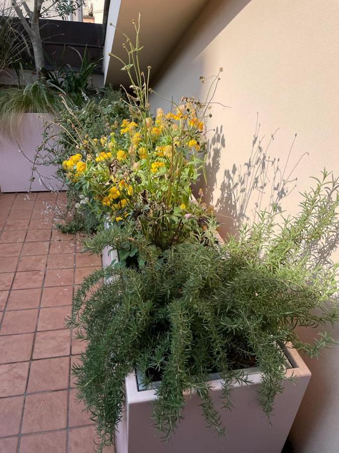 La Terrazza Sull'Arena Apartment Verona Bagian luar foto